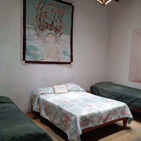 Casa Aldama 83 Hotel San Miguel de Allende Luaran gambar